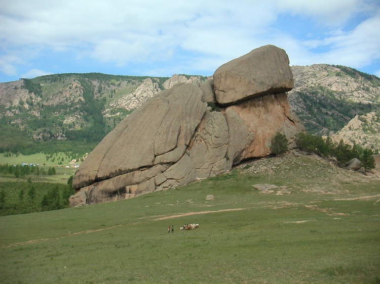 Turtle Rock, Terelj